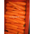 Delicios morcovi proaspeți 150-200G